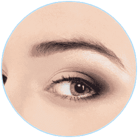 ULTRAFORMER 適用部位：提眉